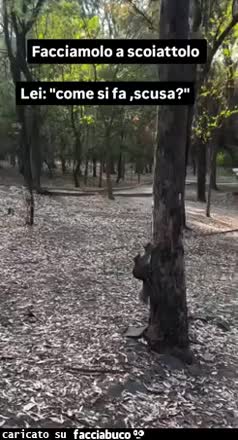 gif animata