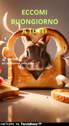 Gif Animata
