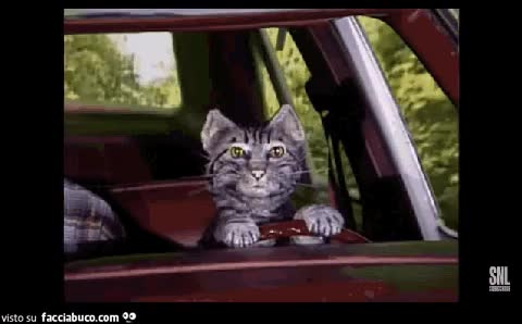 gif animata
