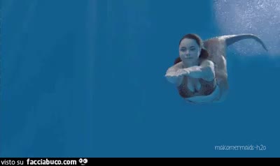 gif animata