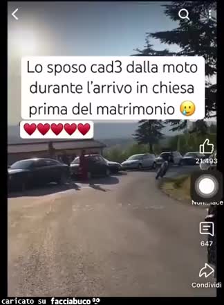 Gif Animata