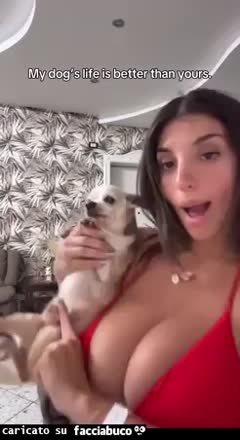 Gif Animata
