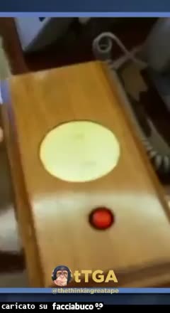 Gif Animata