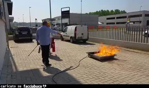 gif animata