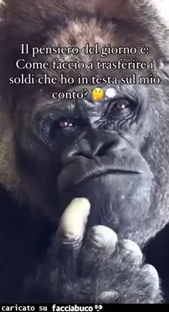 Gif Animata