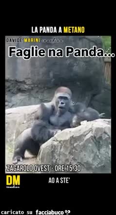 Gif Animata