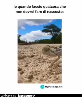 Io quando faccio qualcosa che non dovrei fare di nascosto
