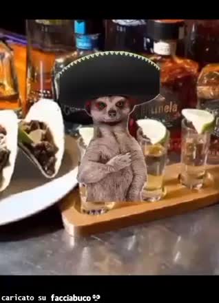 gif animata