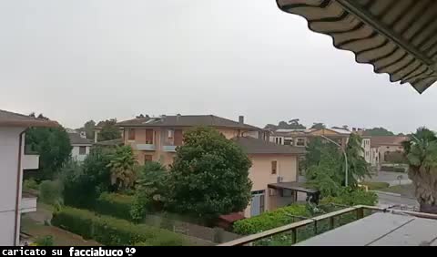 gif animata