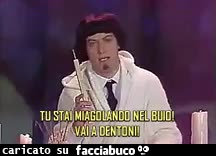 gif animata