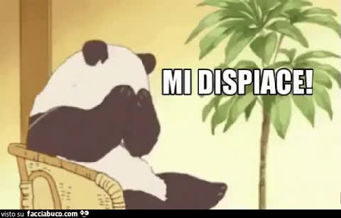 gif animata