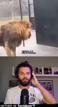 gif animata
