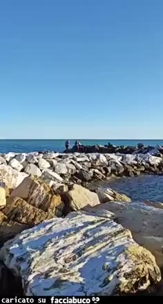 Gif Animata