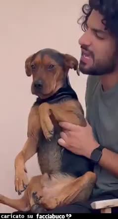 gif animata