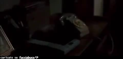 Gif Animata