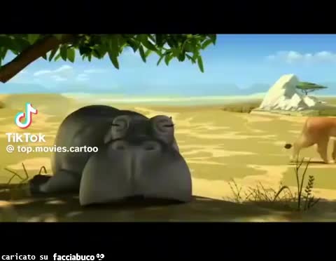Gif Animata