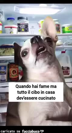 Gif Animata