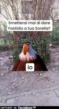 Gif Animata