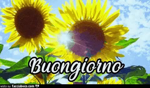 gif animata