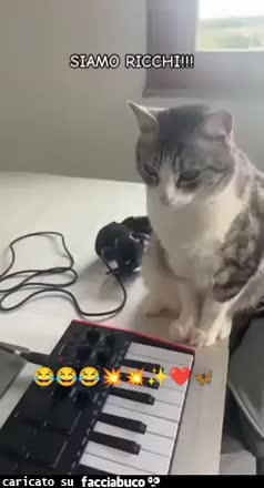 Gif Animata