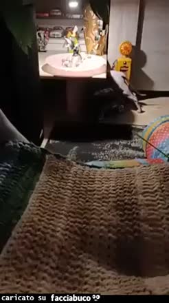 Gif Animata