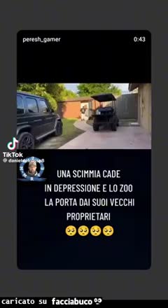 Amore
