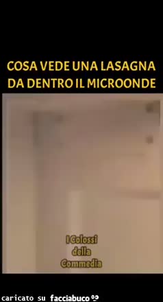 Cosa vede una lasagna da dentro il microonde giro tondo