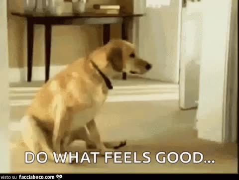 gif animata