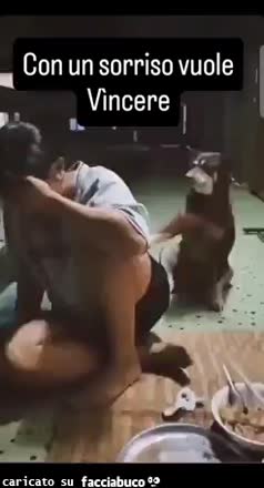 Gif Animata