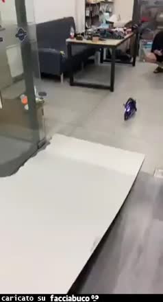 Gif Animata