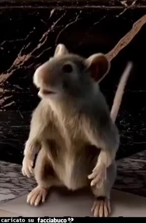 gif animata
