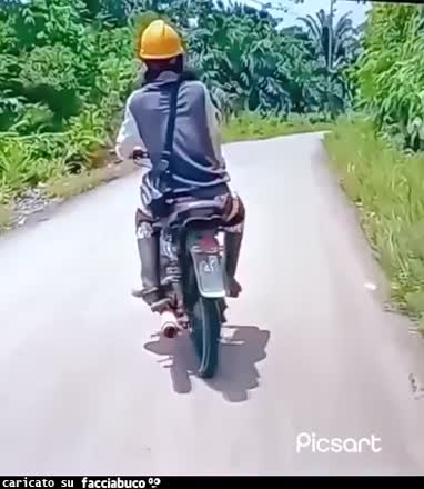 Gif Animata