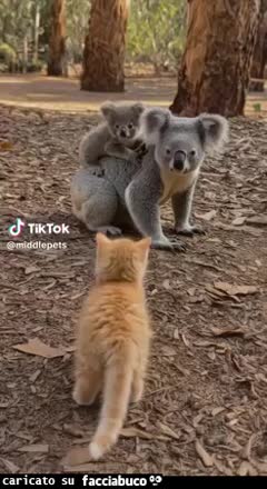 Gif Animata