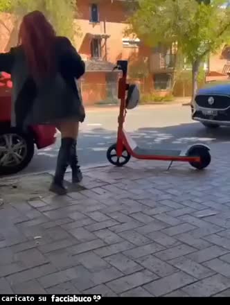 Gif Animata