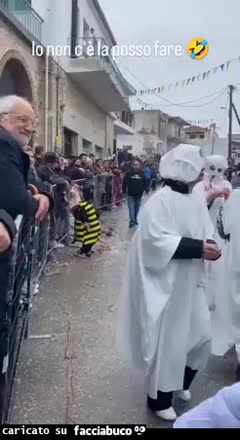 Gif Animata