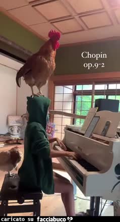 Gif Animata