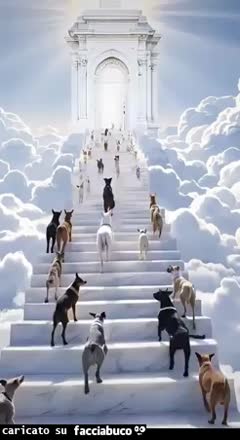 Gif Animata