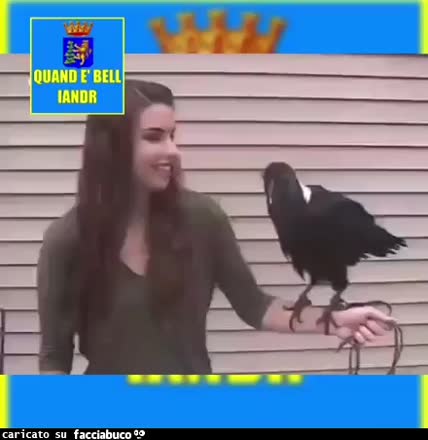 Gif Animata