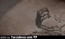 gif animata