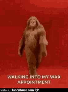 gif animata
