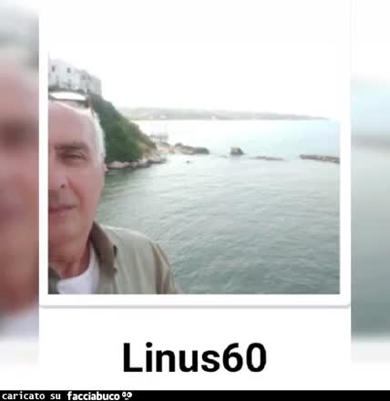 gif animata
