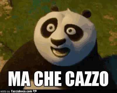 gif animata