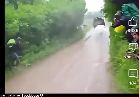 Gif Animata
