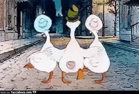gif animata