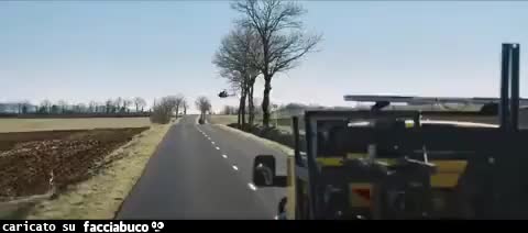 Gif Animata