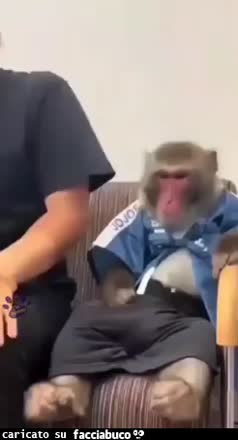Gif Animata