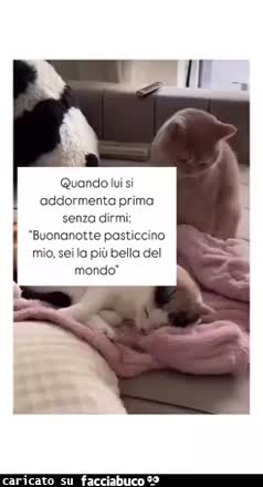 Buonanotte