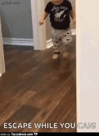 gif animata