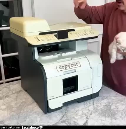 Gif Animata