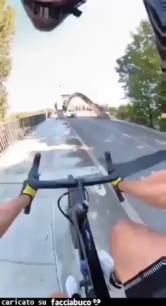 Gif Animata
